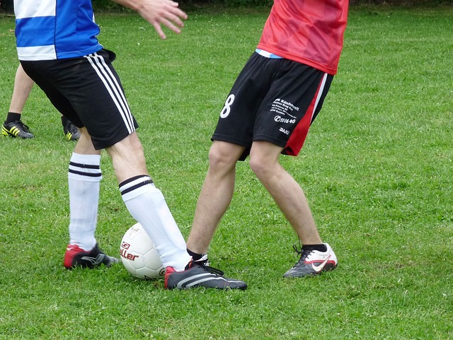 会即将到来 会即将到来