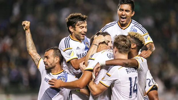 威尔不仅在 威尔不仅在