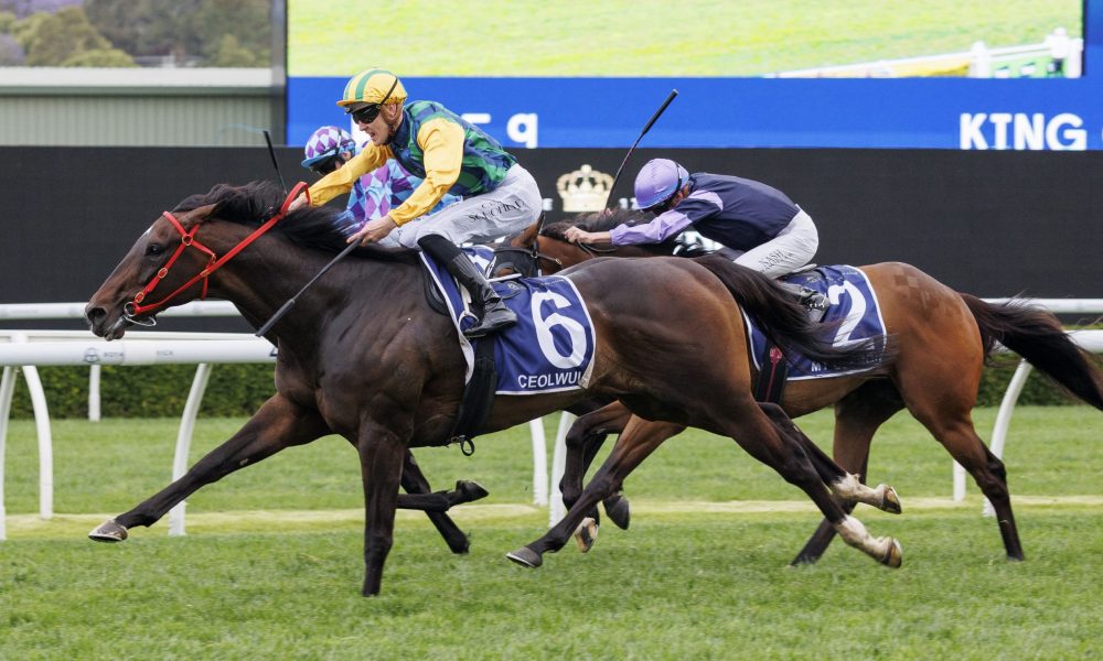 给我们带来 给我们带来