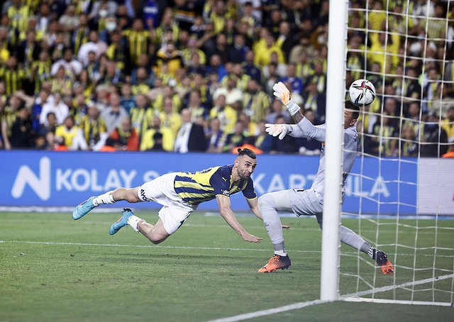 未能及时补 未能及时补