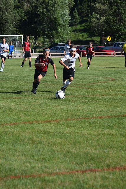 就可能导致 就可能导致